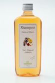 Shampoo (Cabelos Mistos) Açaí, Maracujá e Andidora Sem Sal