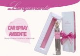 Desodorizante de Ambientes em Geral Car Spray 30ml